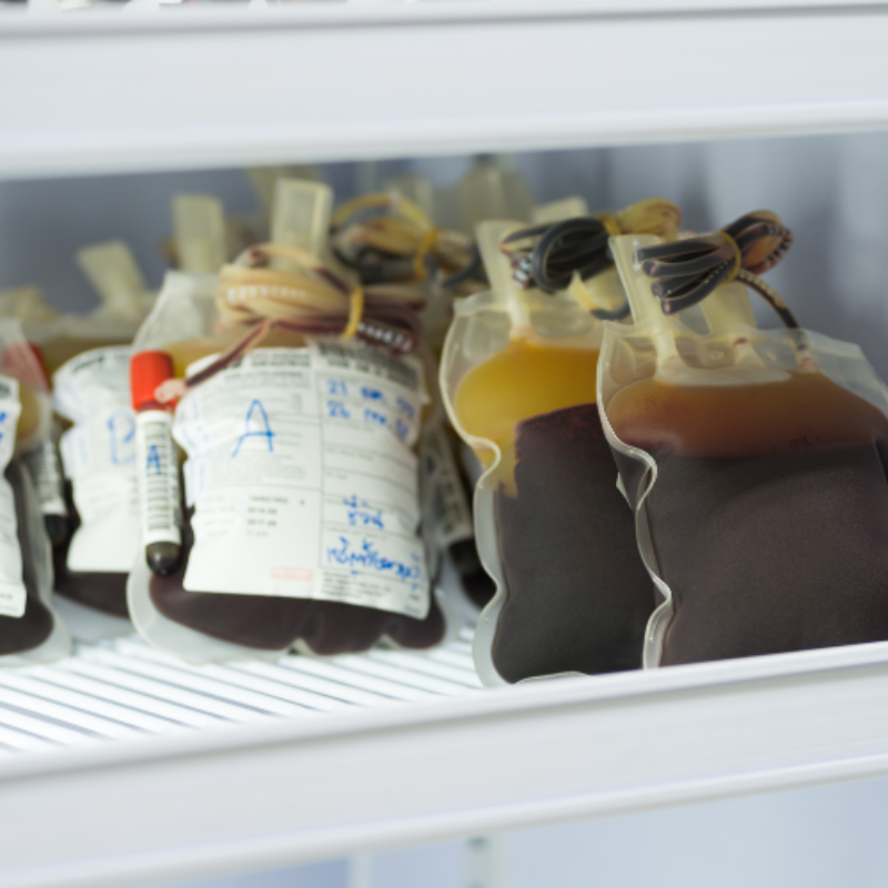 Blood stored in medical bags on refrigerator shelf