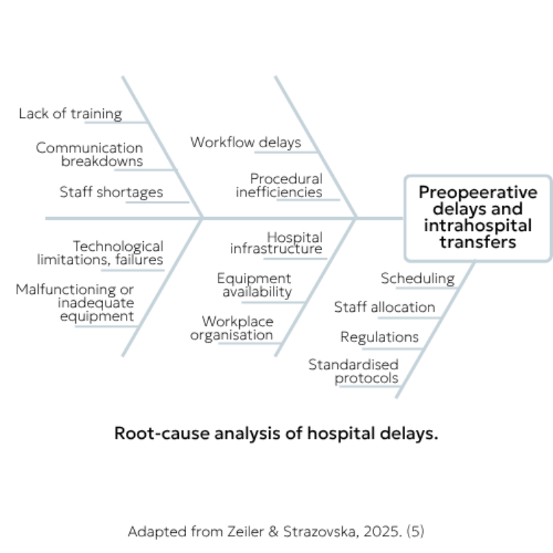 Zeiler fishbone diagram for hospital delays