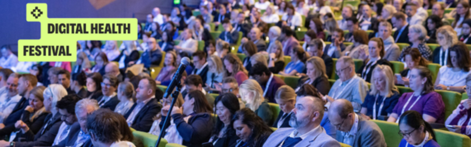 Crowd at DHF theatre